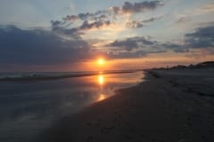 IMG_0772