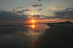 IMG_0783