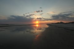 IMG_0786