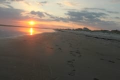 IMG_0789