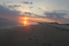 IMG_0796