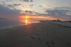 IMG_0798