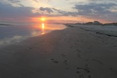 IMG_0799