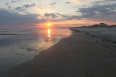 IMG_0801
