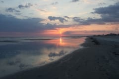 IMG_0822