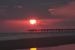 IMG_0873