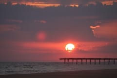 IMG_0883