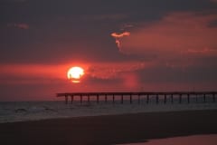 IMG_0884