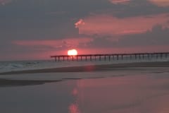 IMG_0901