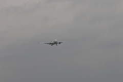 322A0251