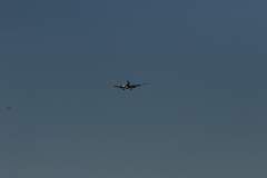 322A0545