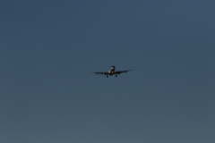 322A0556