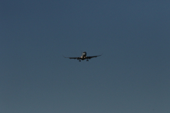 322A0558