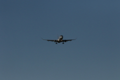 322A0561