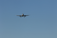 322A0619