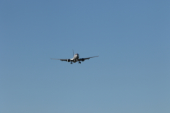 322A0695
