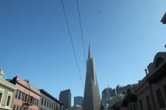 IMG_7326