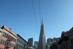 IMG_7327