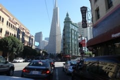 IMG_7329