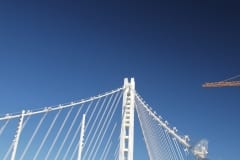 IMG_7355