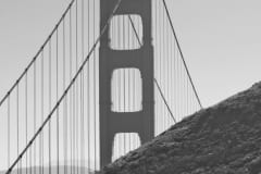 tower-bw
