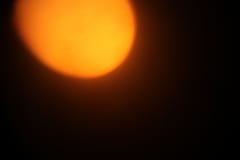 IMG_9314