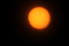 IMG_9316