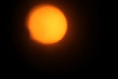 IMG_9325