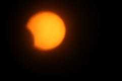 IMG_9334