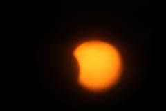 IMG_9337