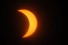IMG_9390