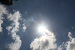 IMG_9611