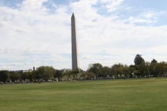 IMG_7912