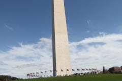 IMG_7932
