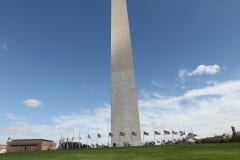 IMG_7940