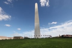 IMG_7941