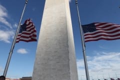 IMG_7945