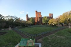 IMG_8135